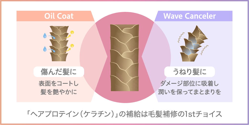 Wケラチン